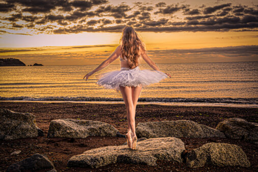 High Quality Photography by Alan Lloyd Photography, Plymouth