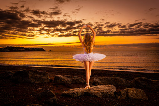 High Quality Photography by Alan Lloyd Photography, Plymouth