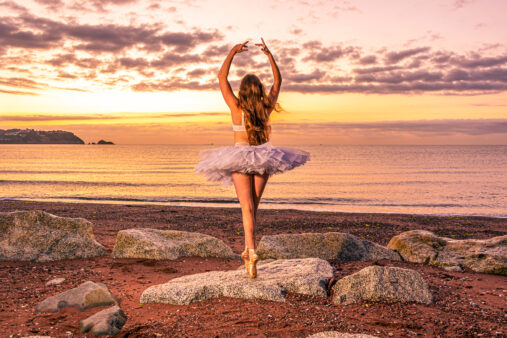 High Quality Photography by Alan Lloyd Photography, Plymouth