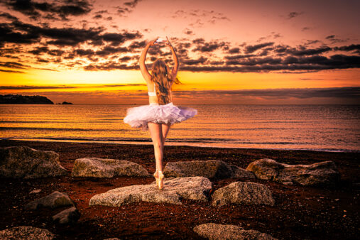 High Quality Photography by Alan Lloyd Photography, Plymouth