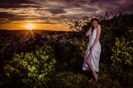 High Quality Photography by Alan Lloyd Photography, Plymouth