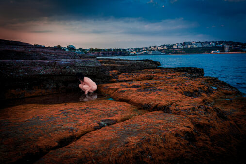 High Quality Photography by Alan Lloyd Photography, Plymouth