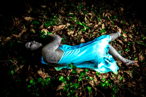 High Quality Photography by Alan Lloyd Photography, Plymouth