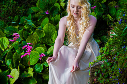 High Quality Photography by Alan Lloyd Photography, Plymouth