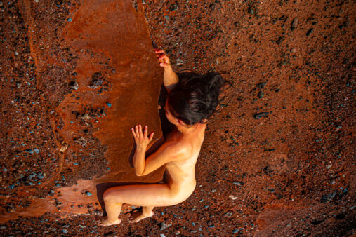 High Quality Photography by Alan Lloyd Photography, Plymouth