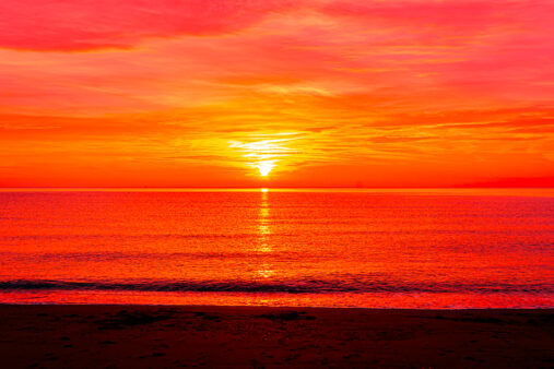 High Quality Photography by Alan Lloyd Photography, Plymouth