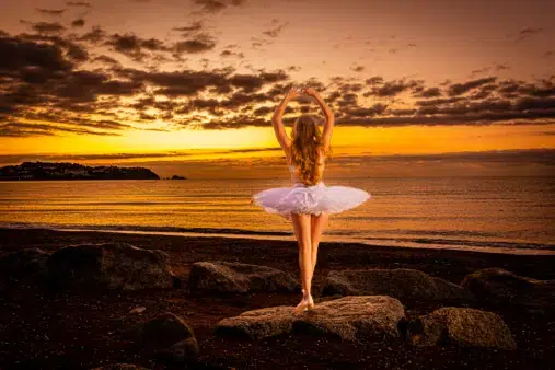 Alan Lloyd Photography - Plymouth