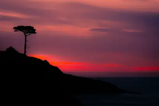 Alan Lloyd Photography - Plymouth
