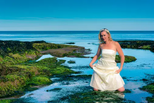 Alan Lloyd Photography - Plymouth